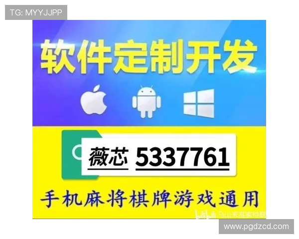 PG麻将糊了试玩平台推出多样化玩法，旨在提升玩家娱乐体验和游戏互动性
