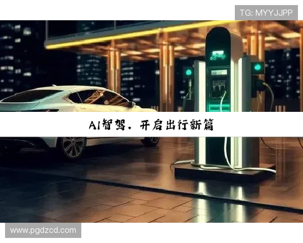 深入了解PG电子官网的安全保障体系与玩家权益保护措施